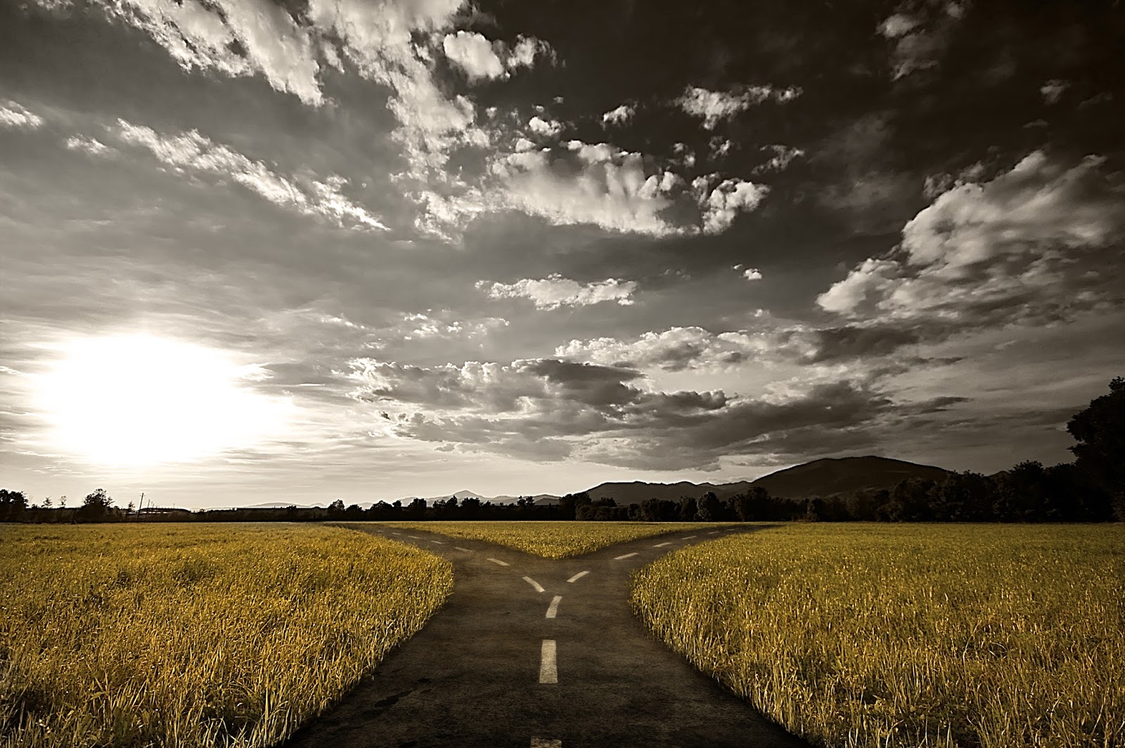 An image of a cloudy rural landscape in the morning, with the sun lighting over a single road that diverges into two paths.