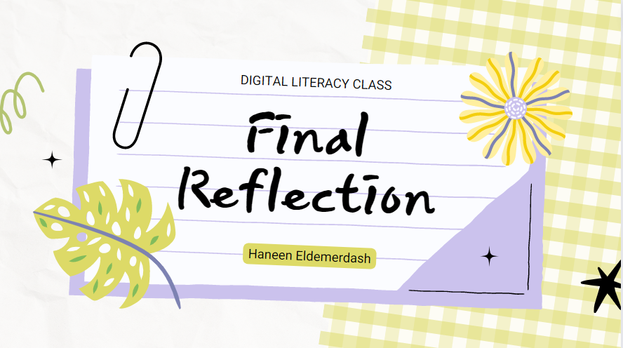 Final Reflection by Haneen Eldemerdash