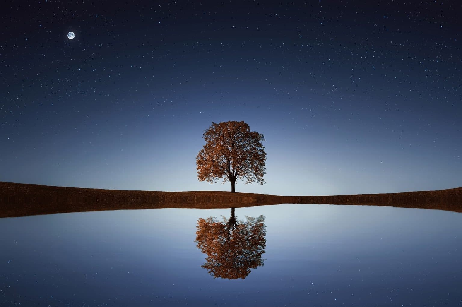 The image shows a reflection of a tree in a river